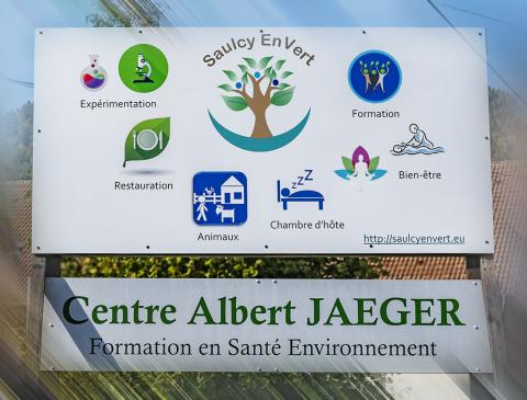 Activité de Saulcy en Vert